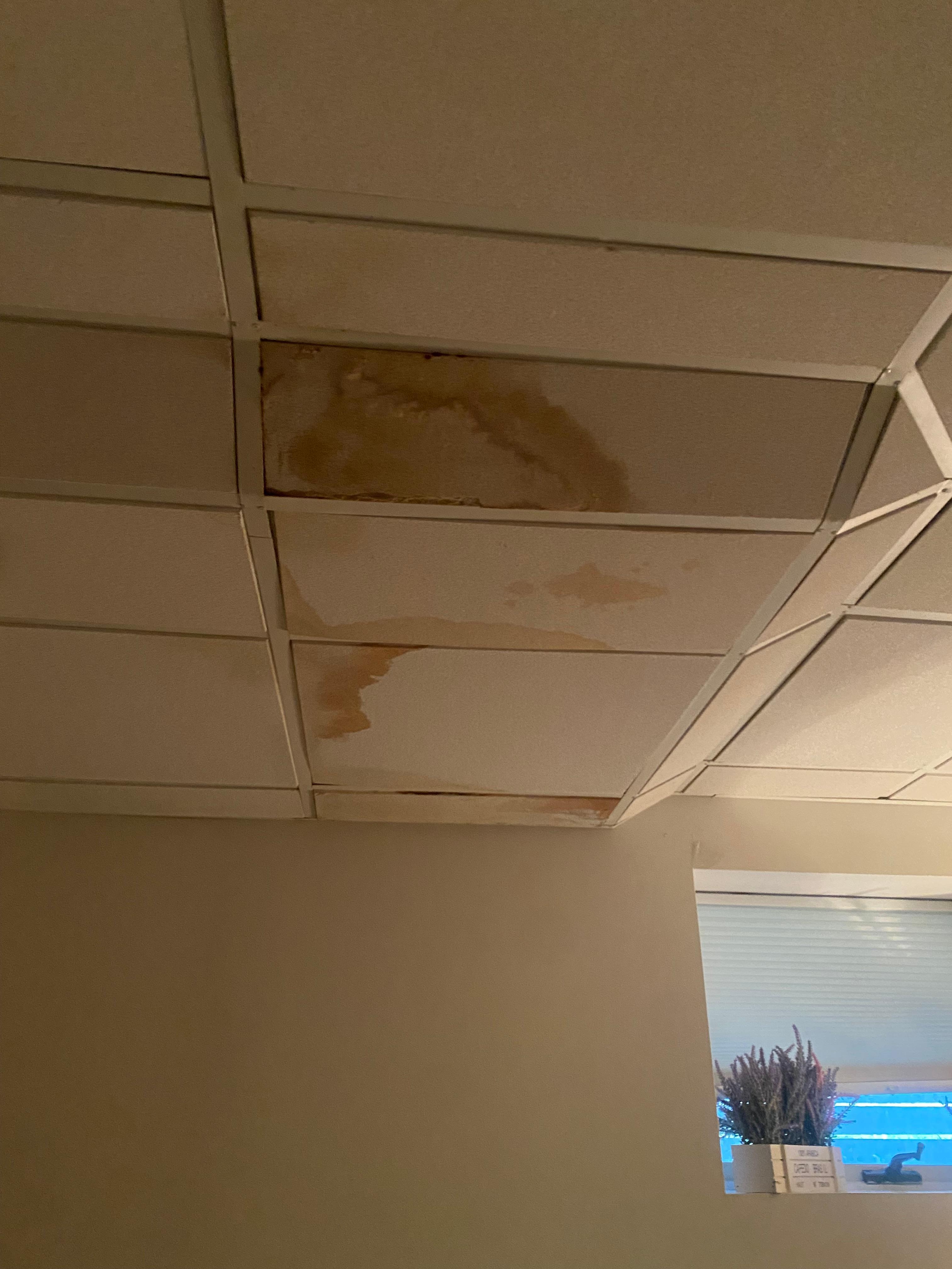 Water stains on ceiling 