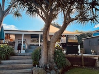 Great bbq. Happy dog.