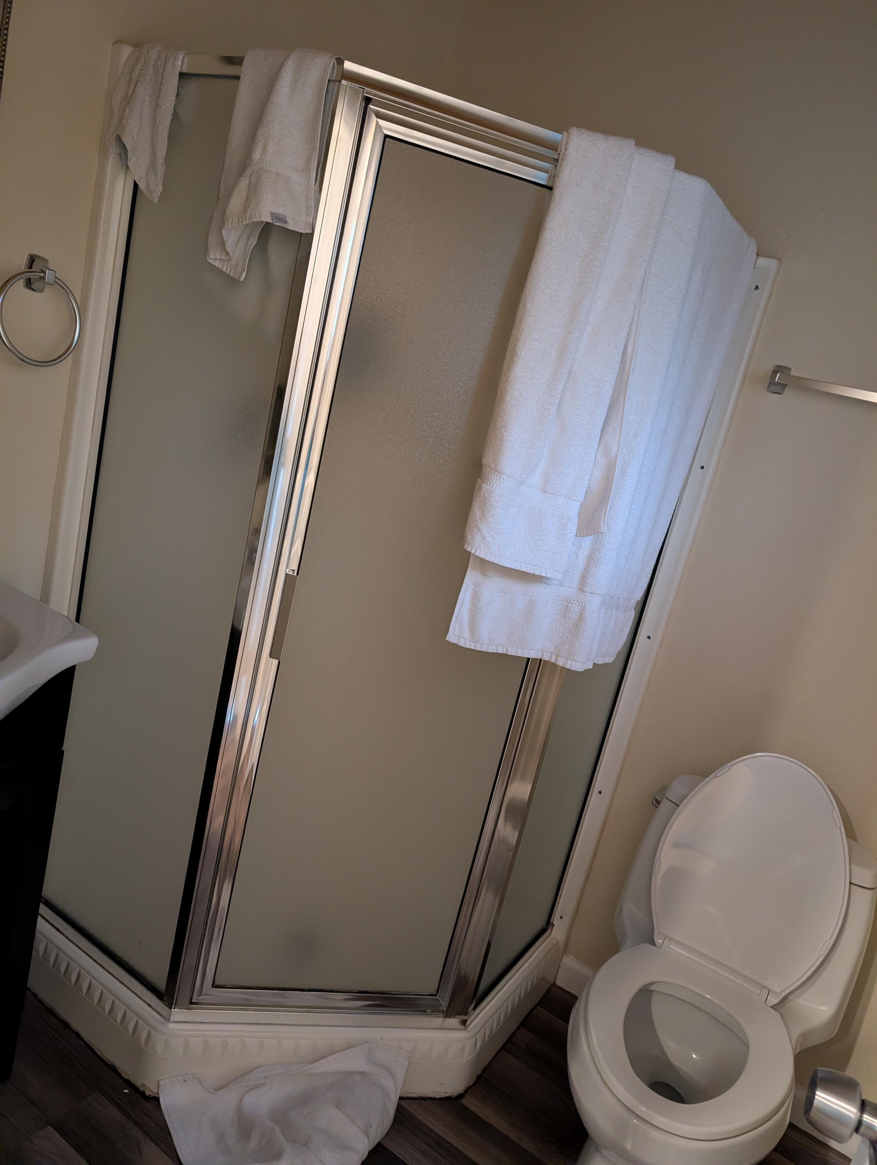 No counter in bather for toiletries. You get two small body towels. No where to put a change of clothes. Toilet wasn't working when we got to the room. 