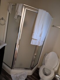 No counter in bather for toiletries. You get two small body towels. No where to put a change of clothes. Toilet wasn't working when we got to the room.
