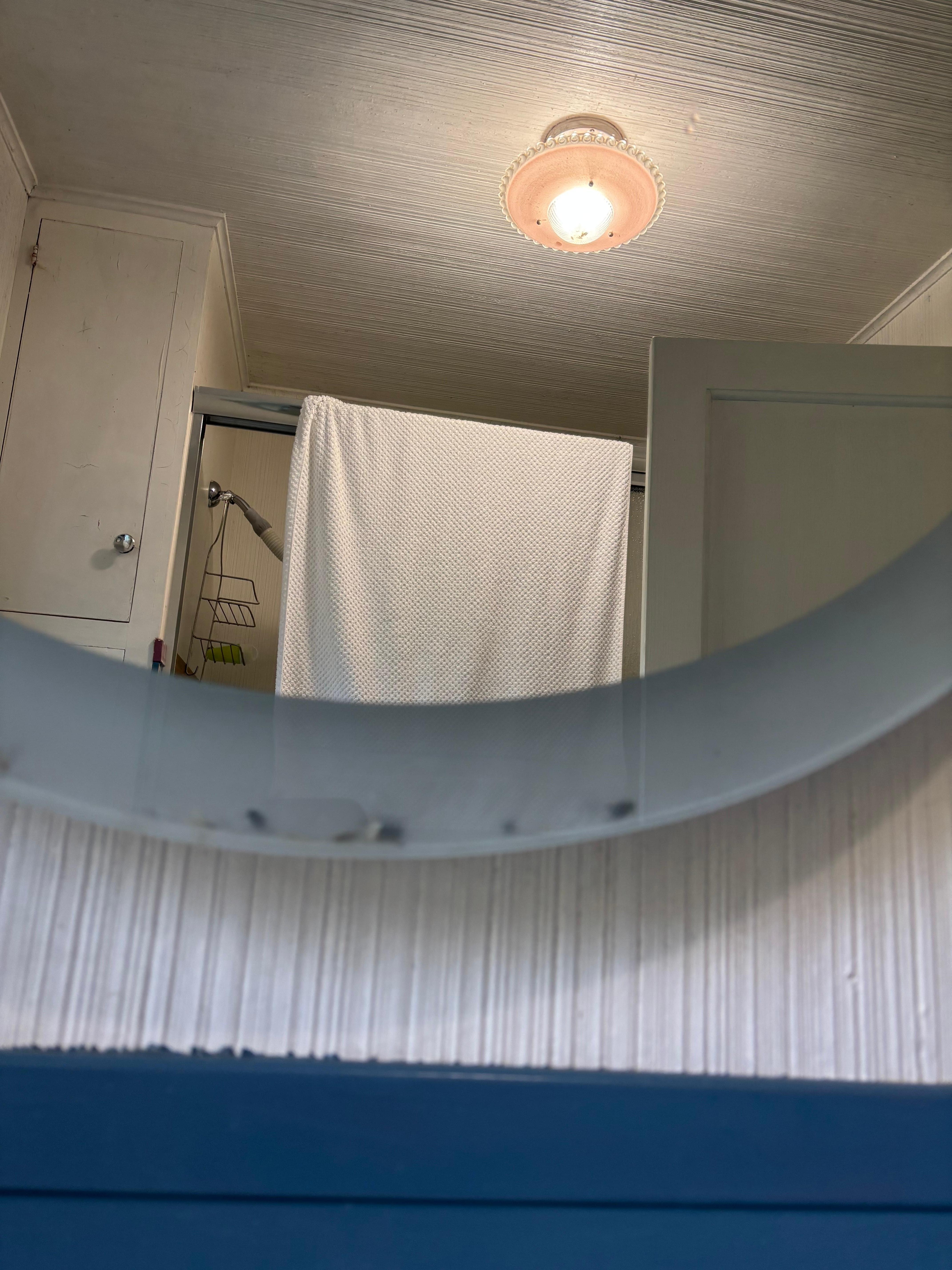 More dead flies in bathroom mirror 