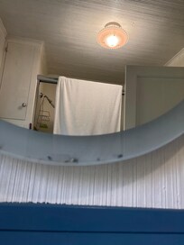 More dead flies in bathroom mirror