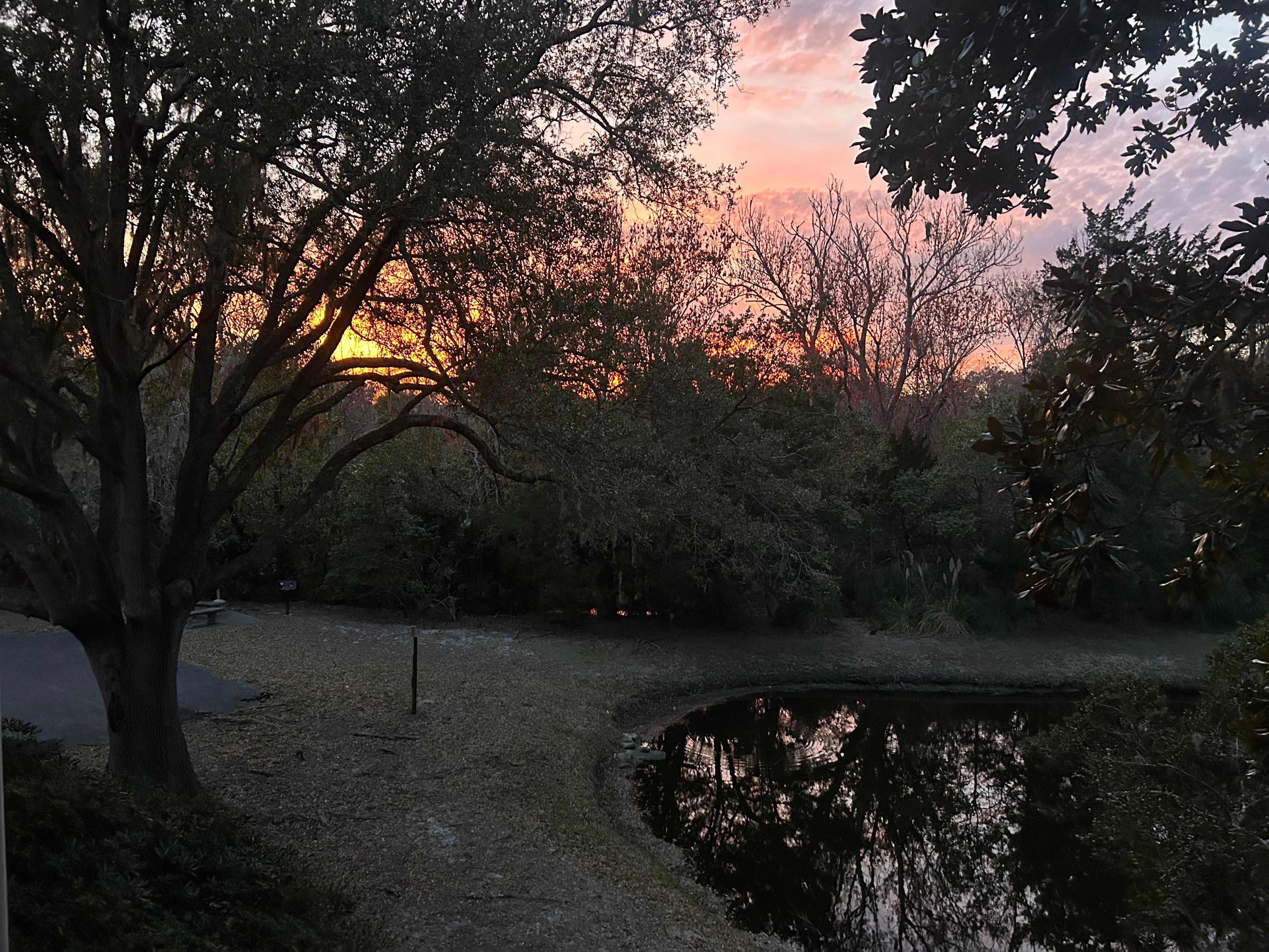 Sunset view from the porch. 