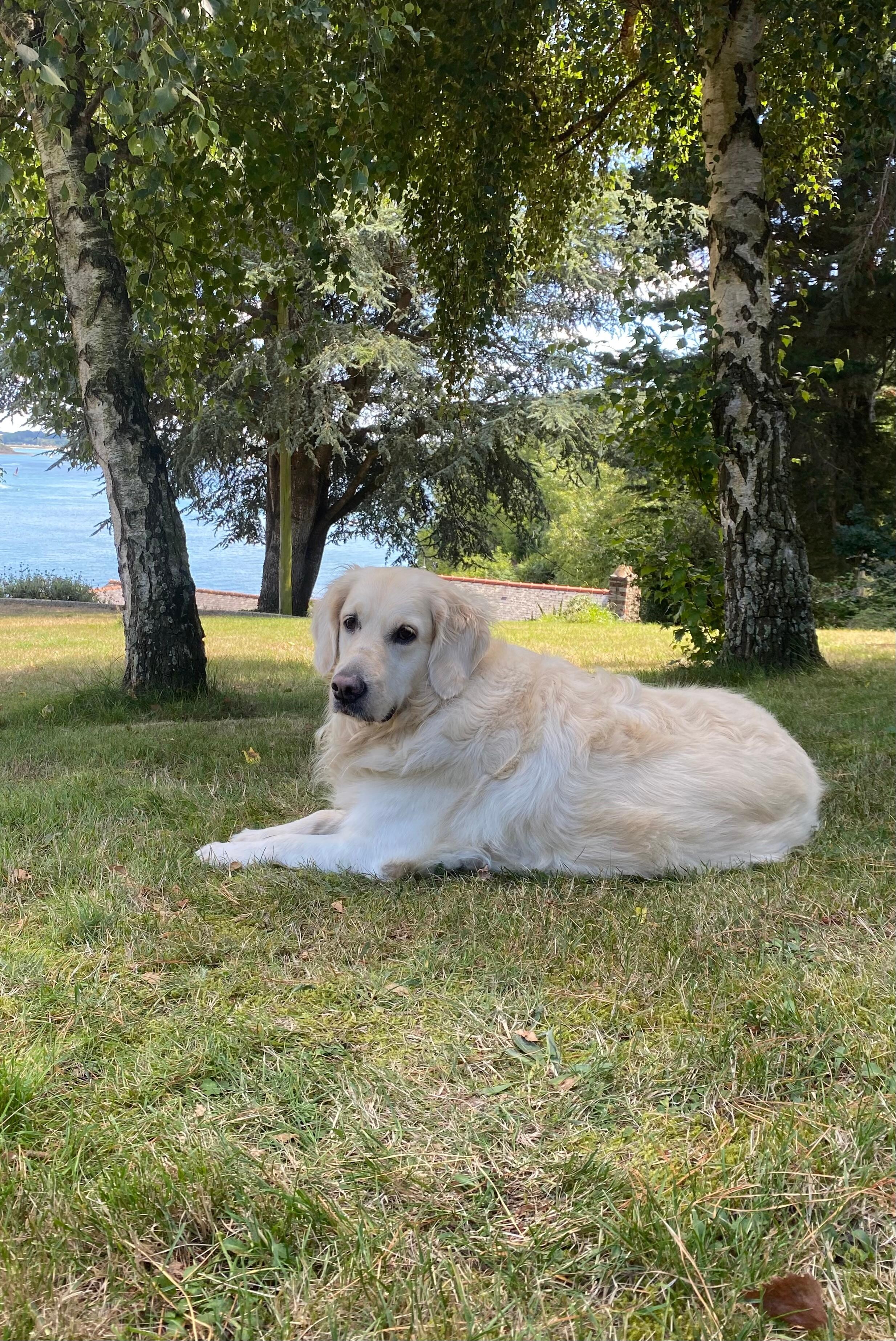 Des bonnes vacances pour tous !!!