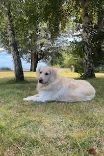 Des bonnes vacances pour tous !!!