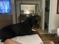 He loves it here