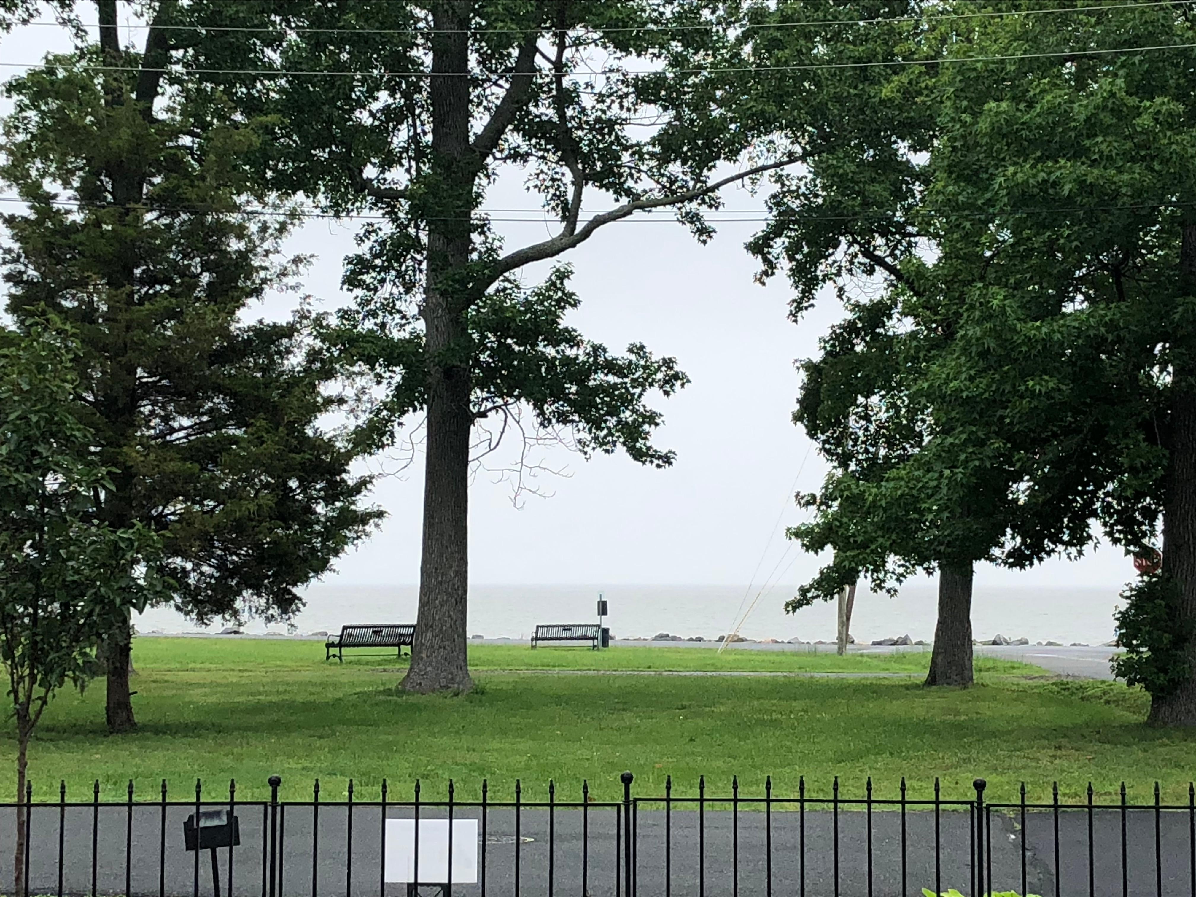 View of the river across the street from house.