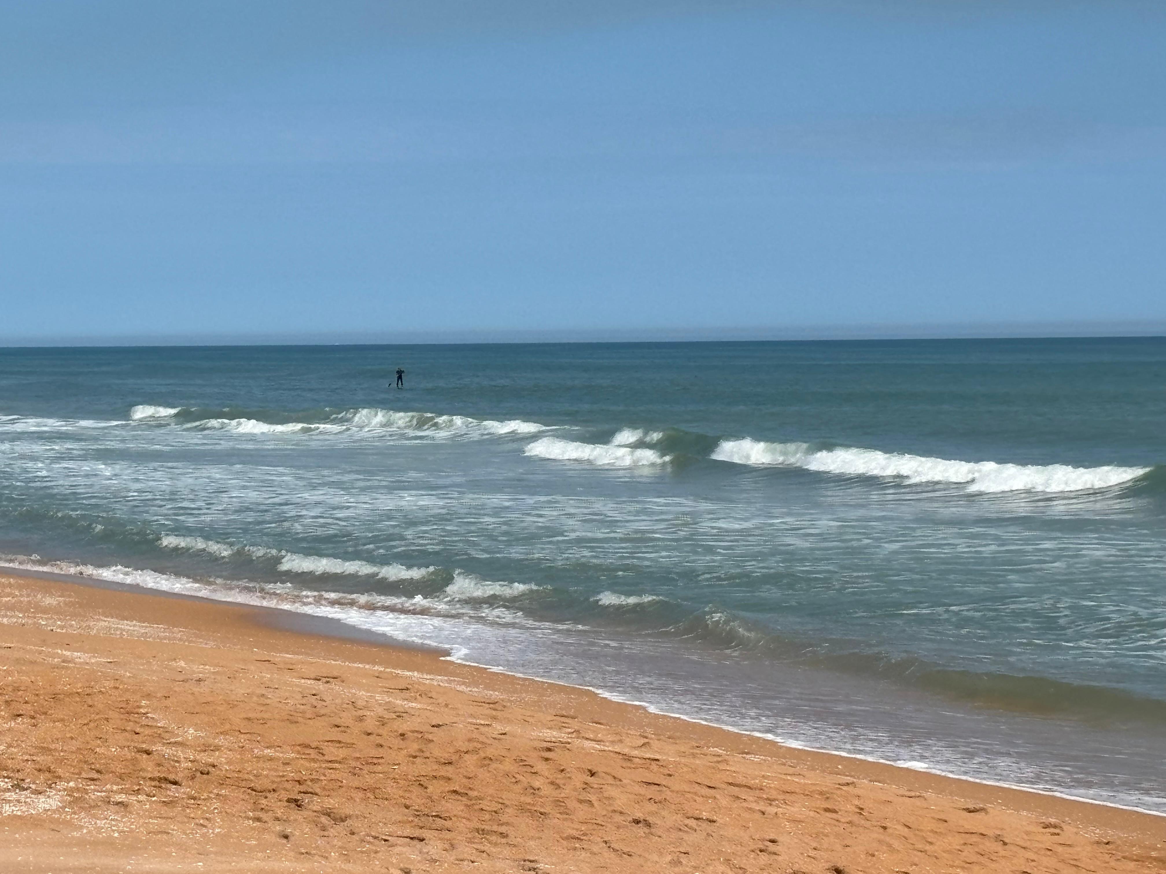 Beautiful beach day!