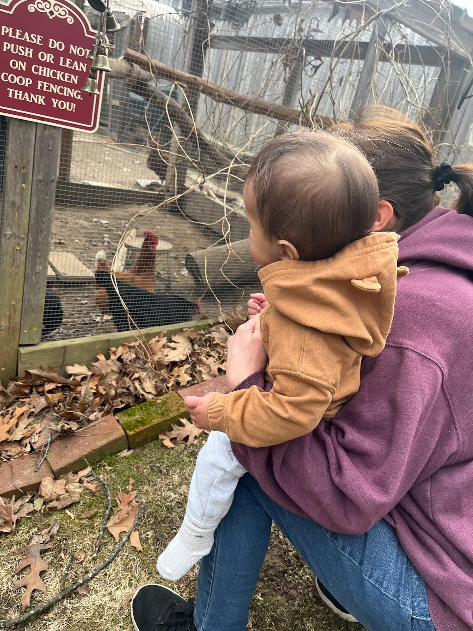 Chickens were very entertaining! 