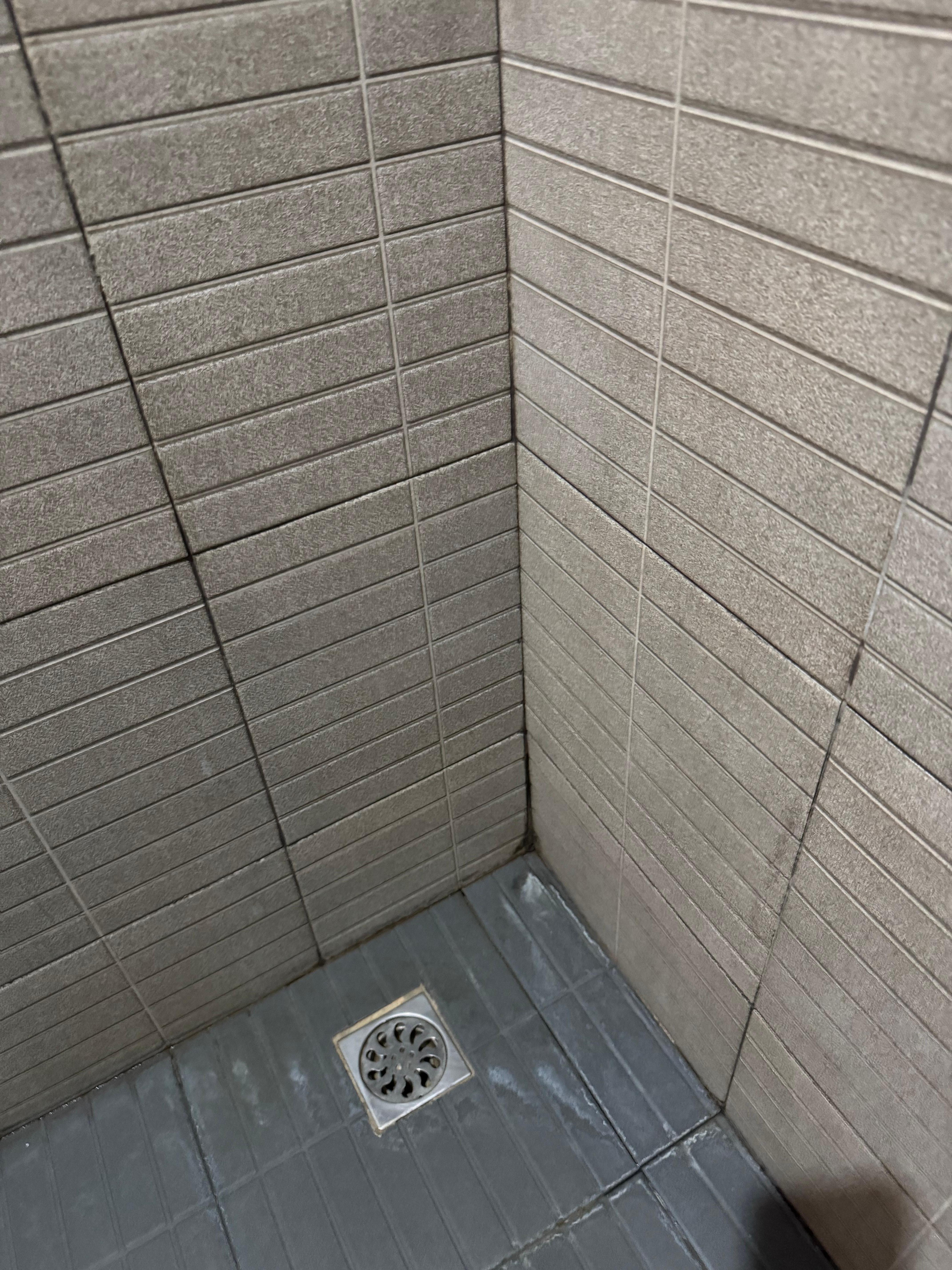 Mold climbing the wall