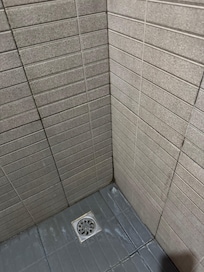 Mold climbing the wall