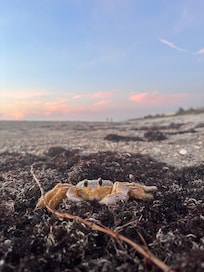Amazing adventures at sunrise