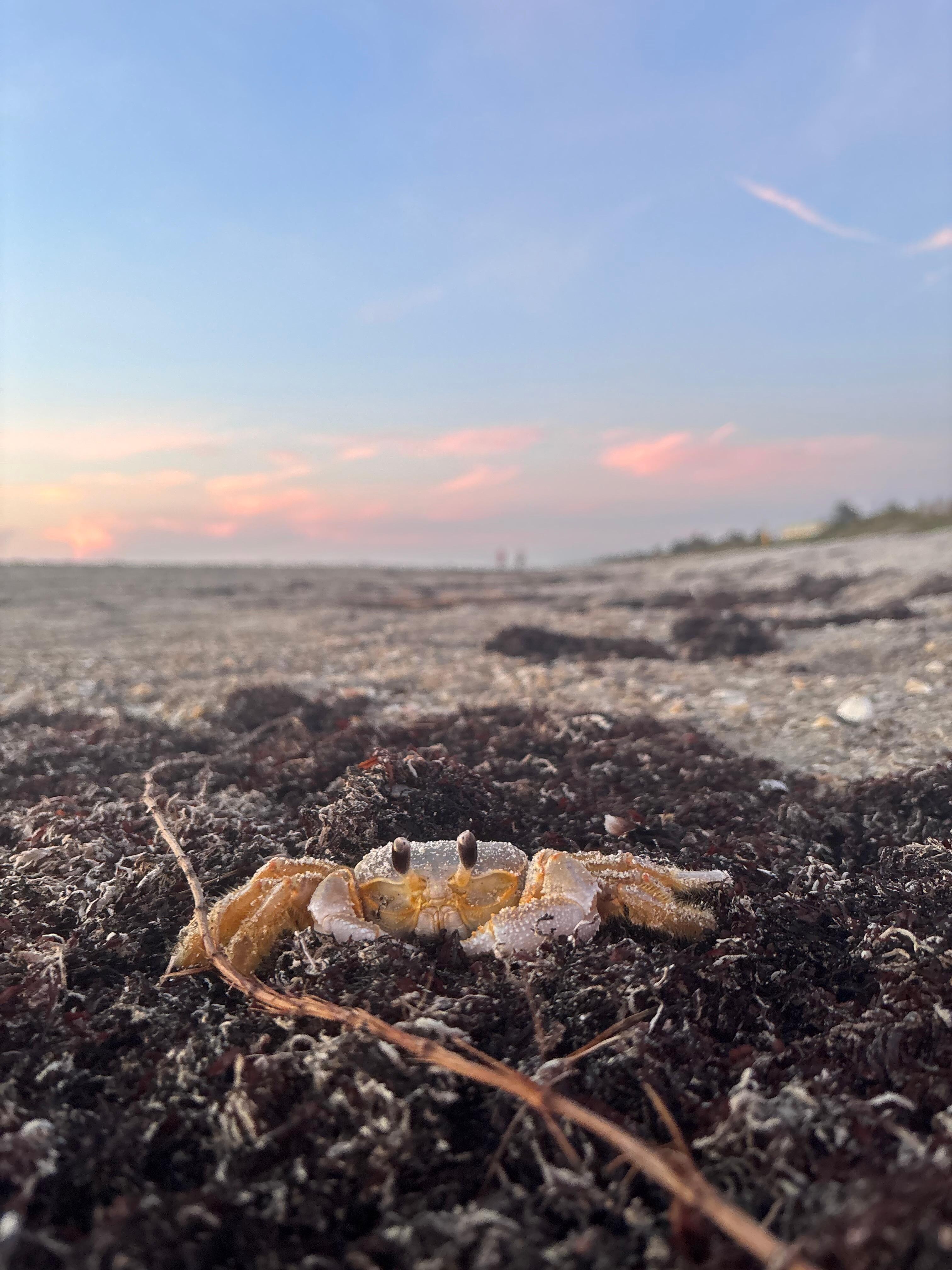 Amazing adventures at sunrise 