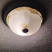 Moldy light fixtures