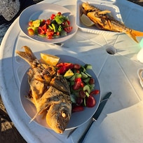 Amazing while baby snapper on beach front.