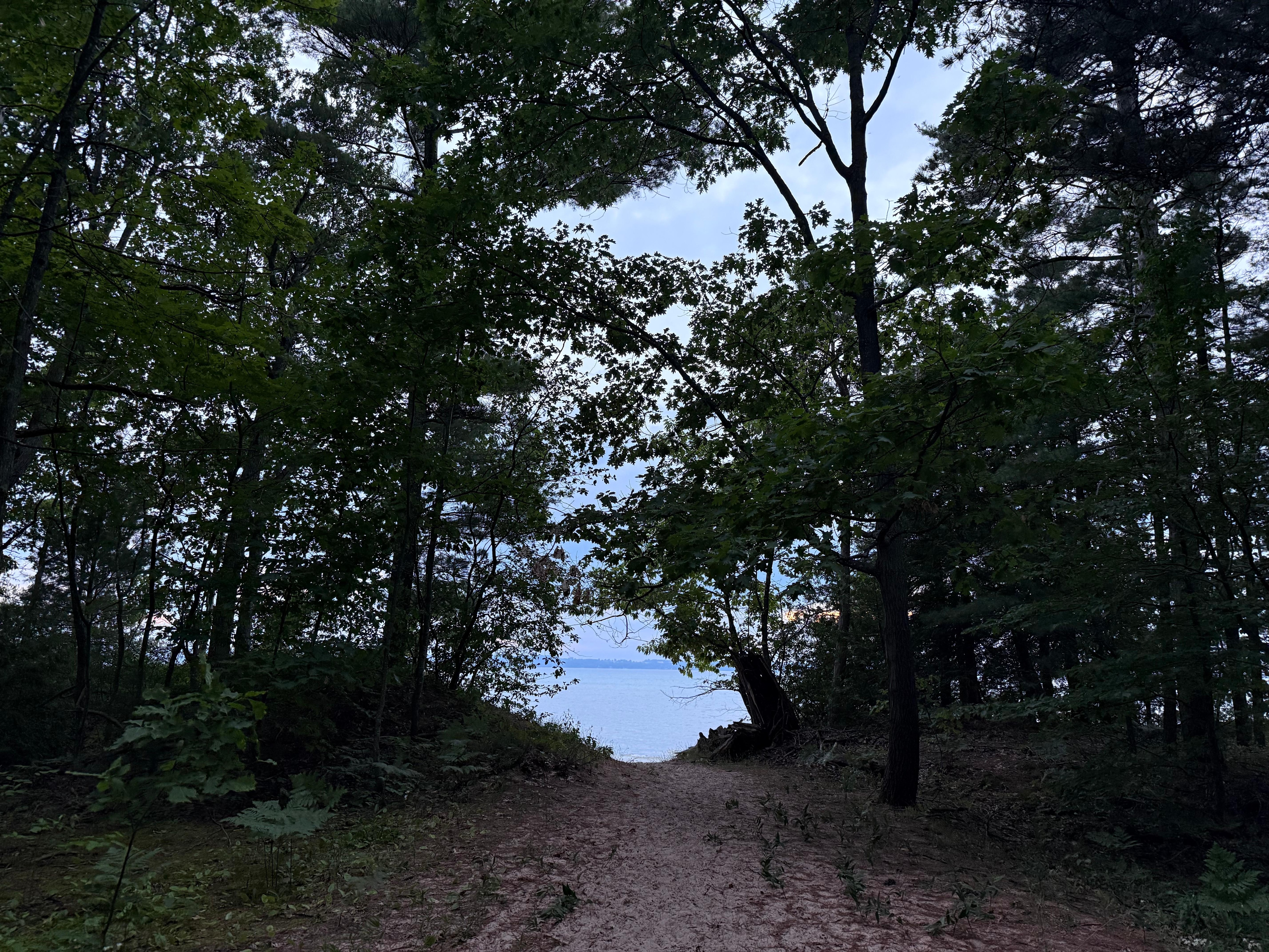 Walkway to the beach.