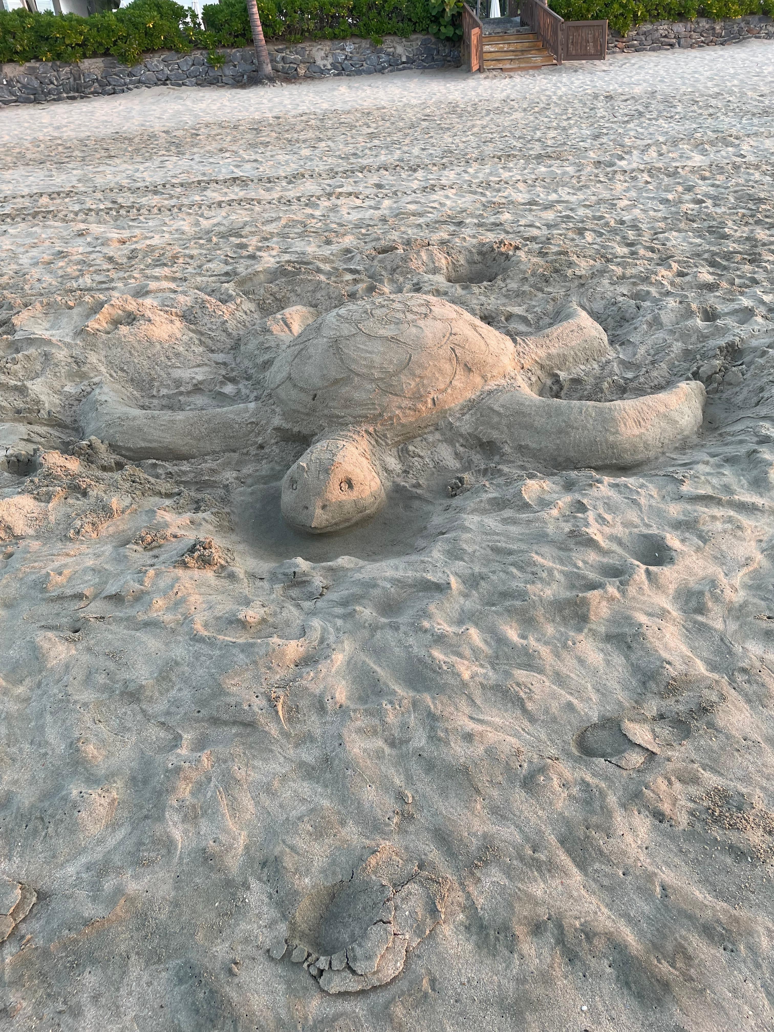 sand art on the beach