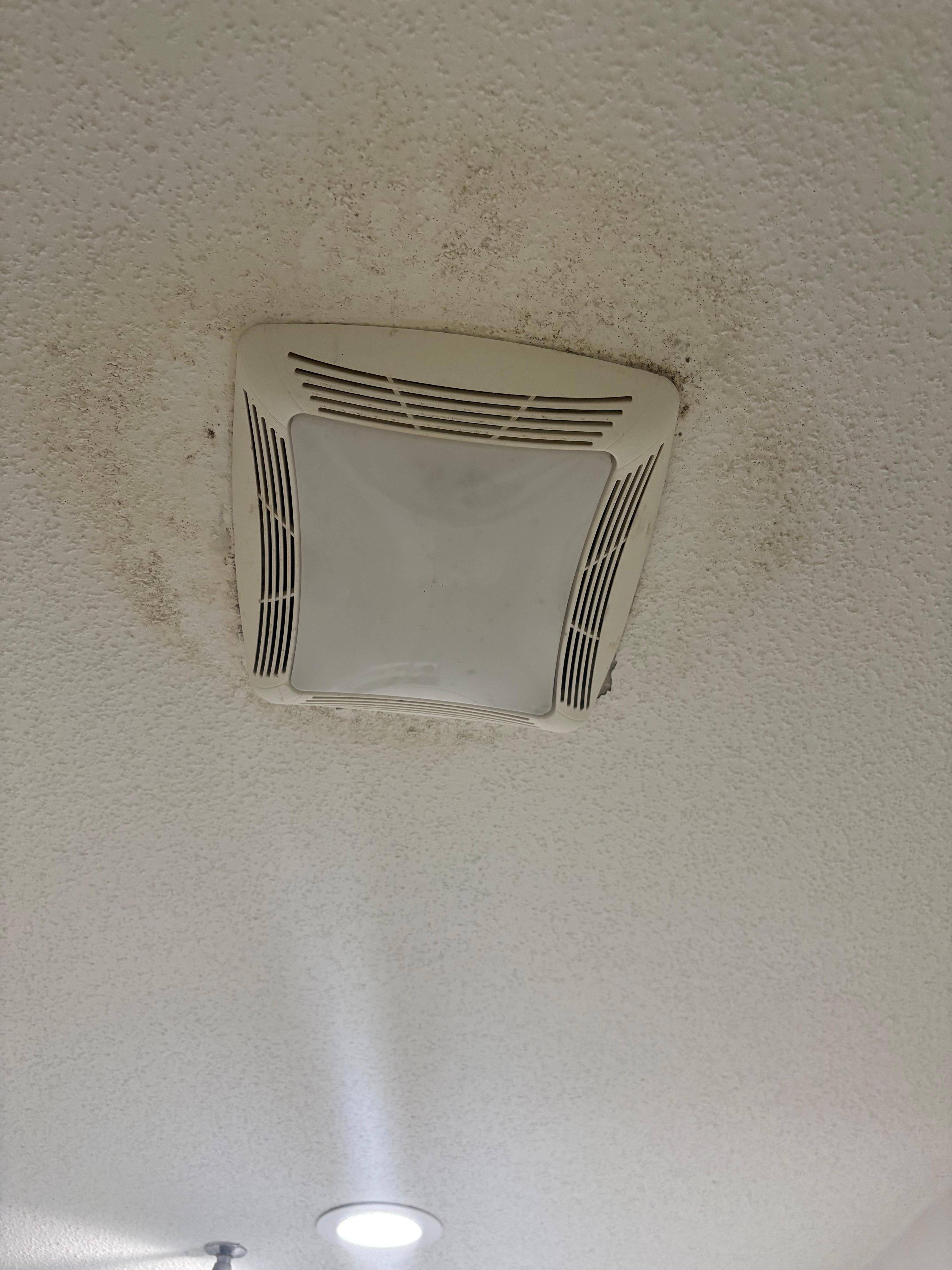 Bathroom fan