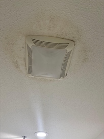 Bathroom fan