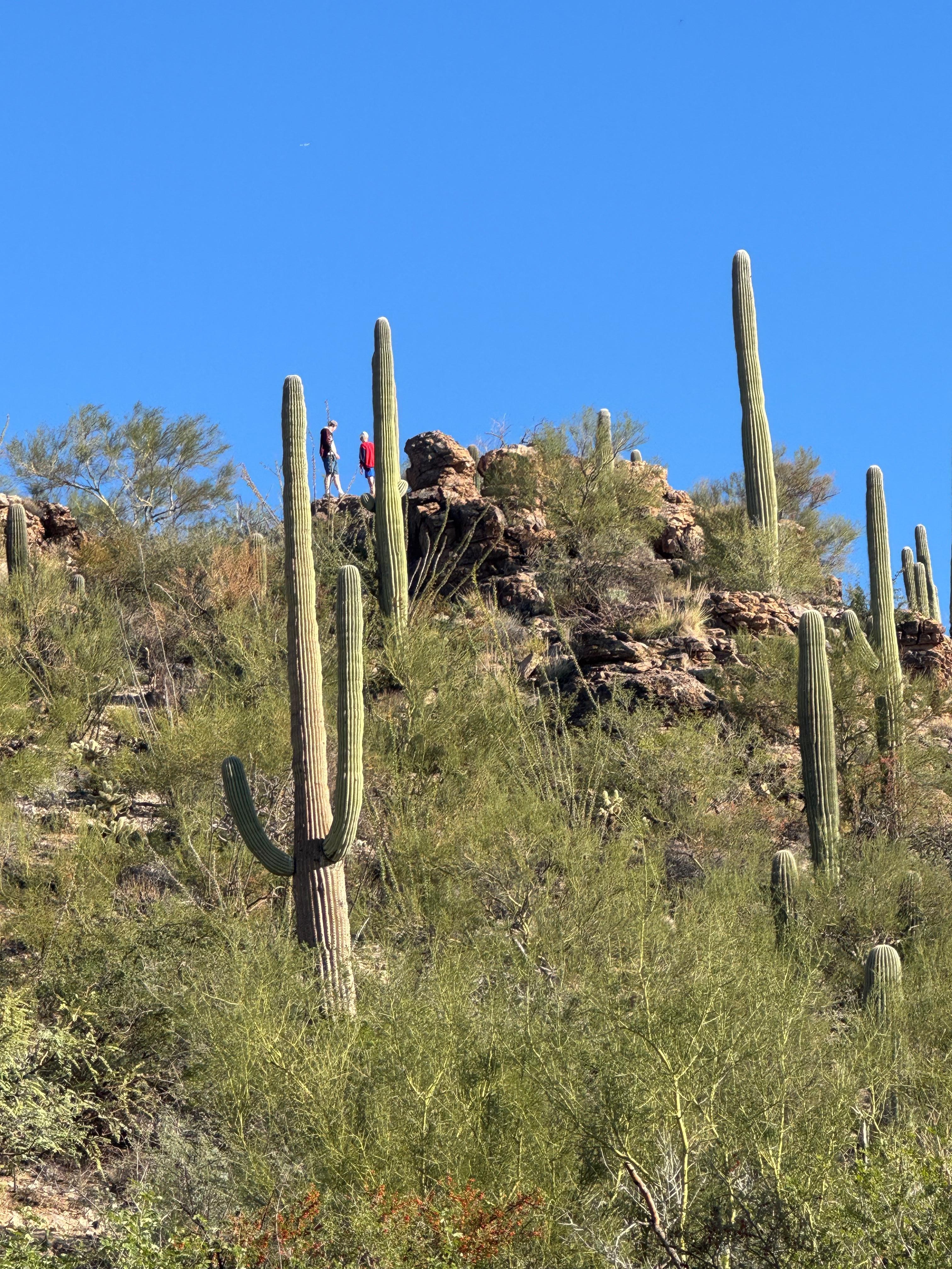 View in back of house