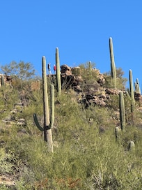 View in back of house