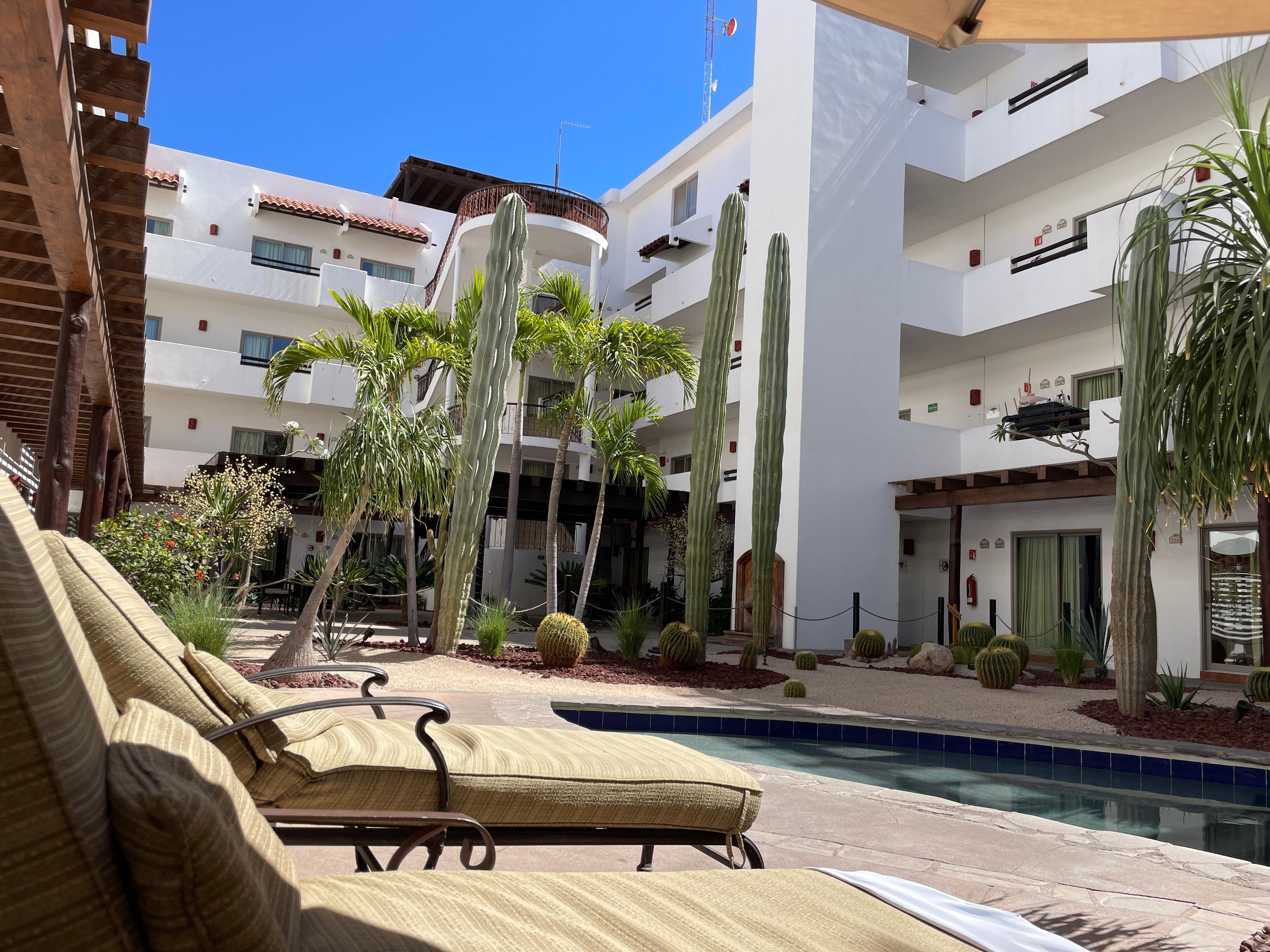 Lounge chairs in the courtyard and poolside.