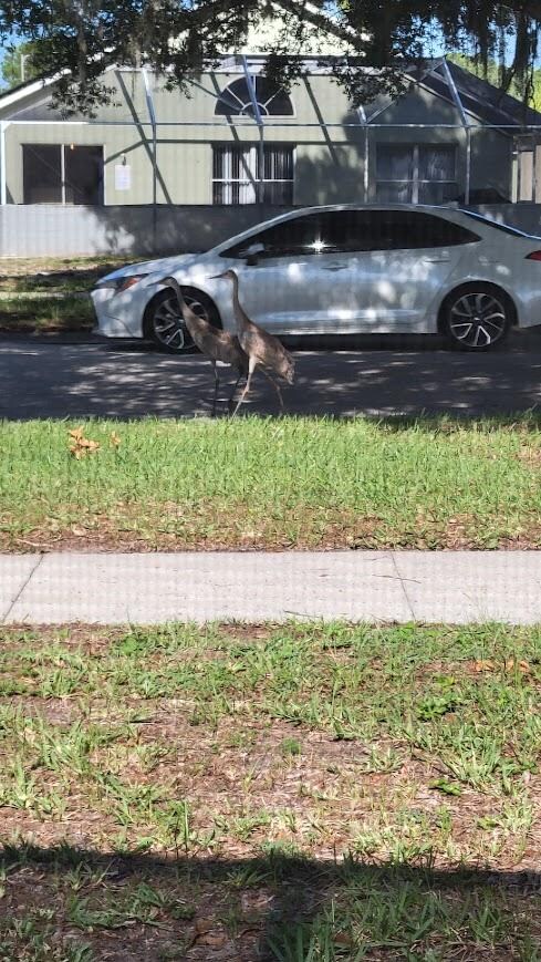 Lots of wildlife!!