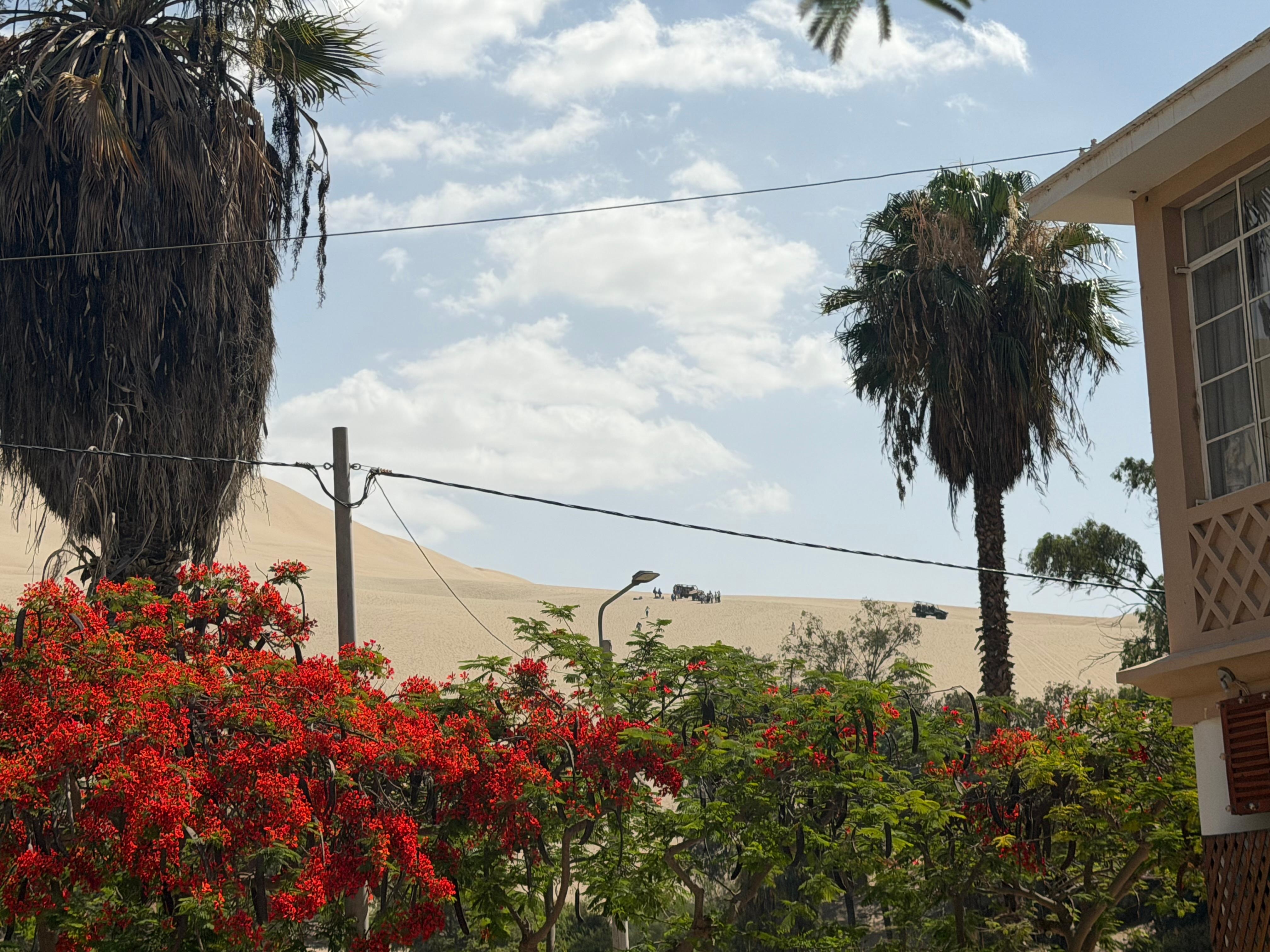 Sandboarding activity nearby - view from street