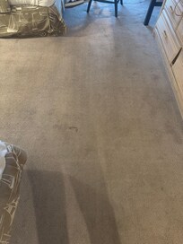 Dirty carpet