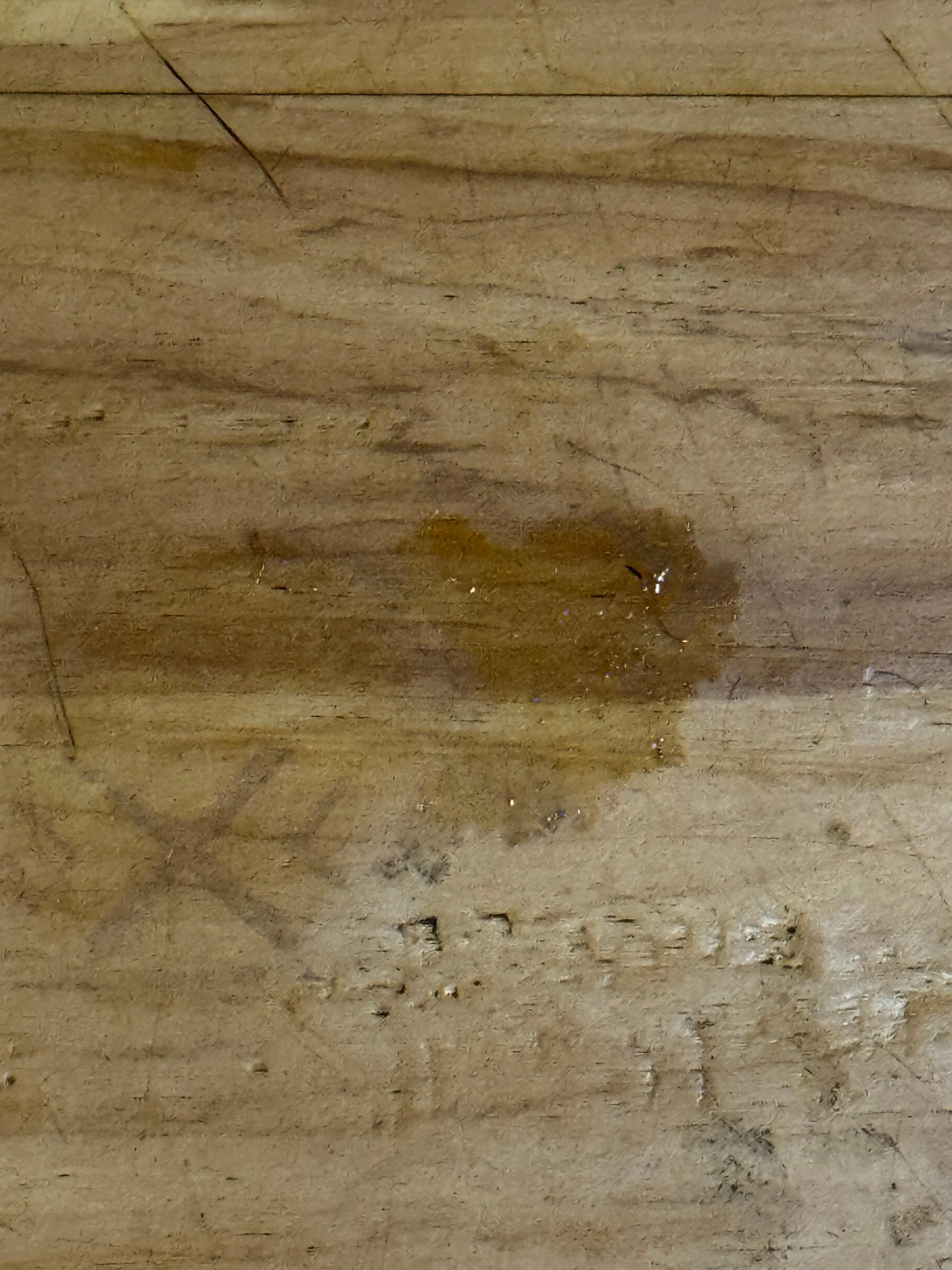 Some disgusting substance on the floor 