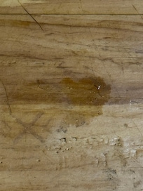 Some disgusting substance on the floor