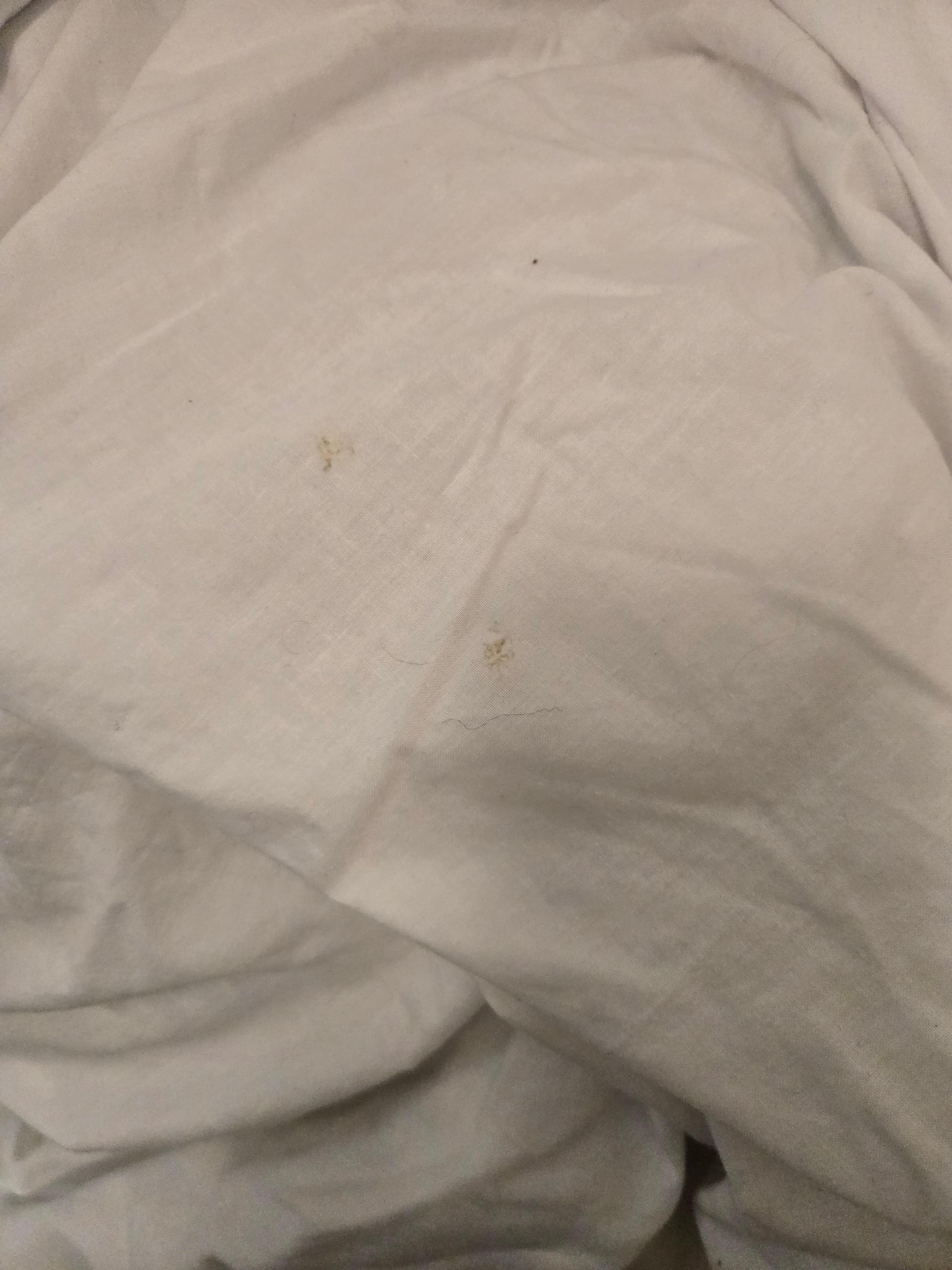 The duvet inside the dirty bedding 