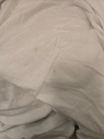 The duvet inside the dirty bedding