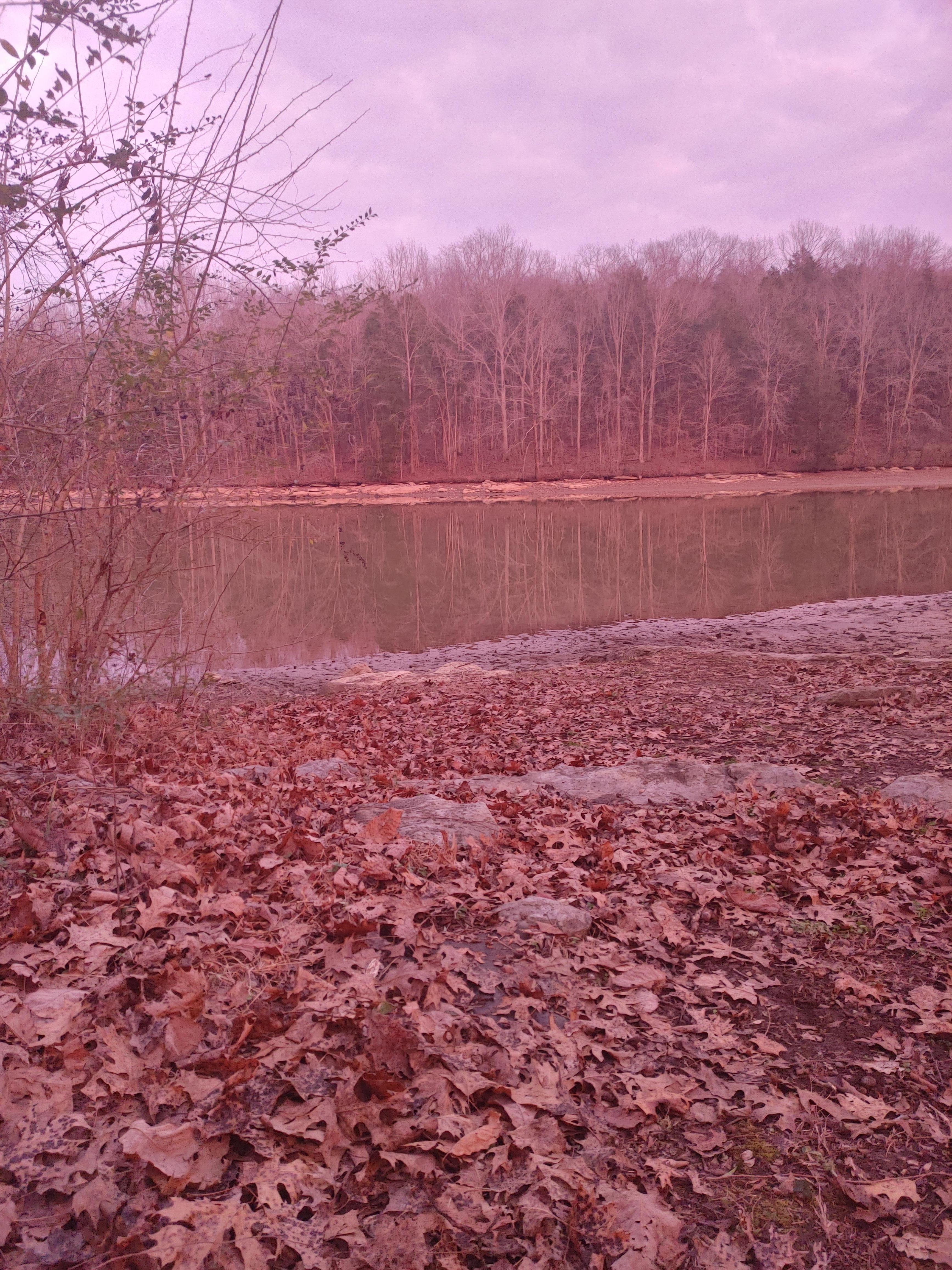 Sunset at the campground below the cabin. 