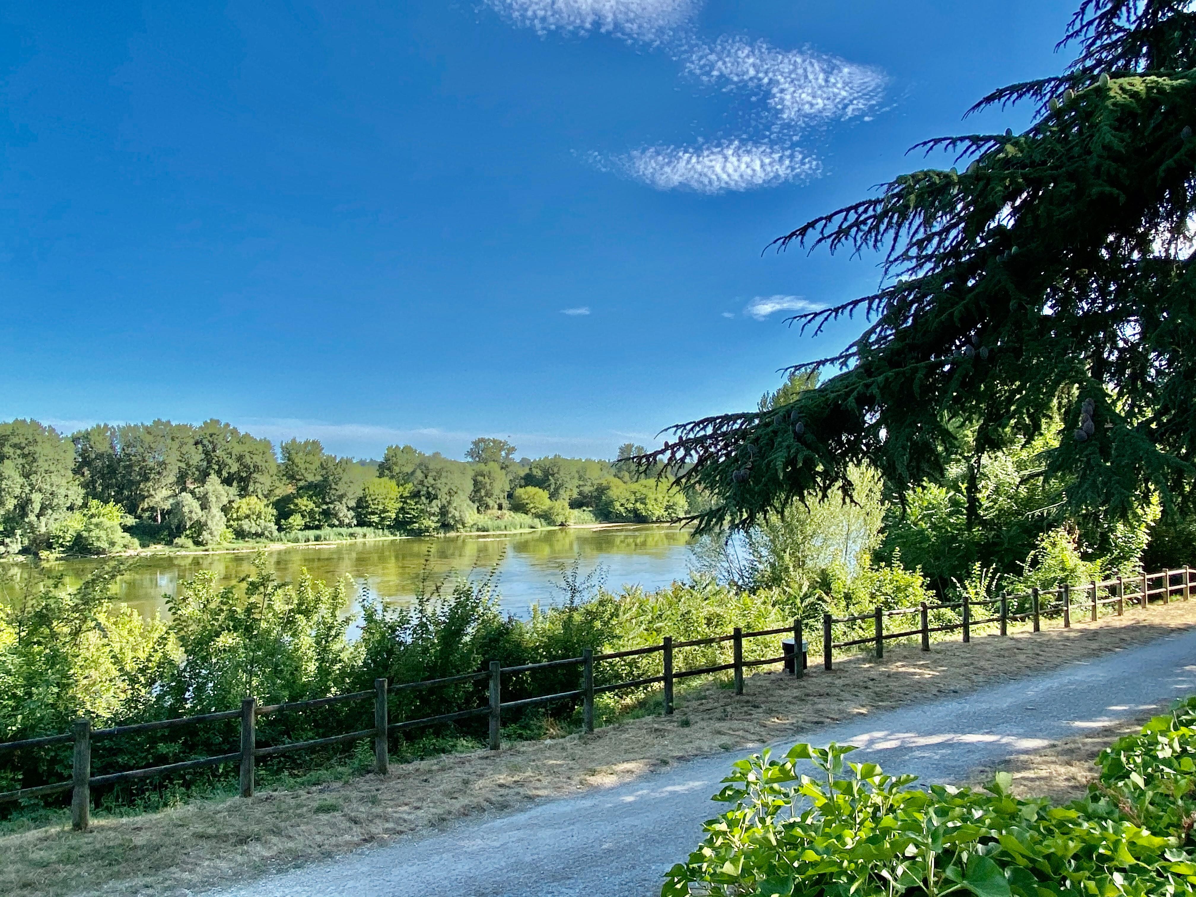 Bilde tatt fra hage mot elven. 