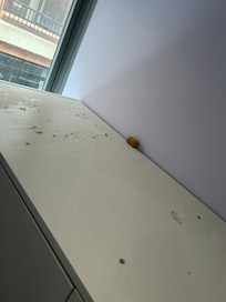 Top of cabinet covered in dust that remained even after we mentioned it.