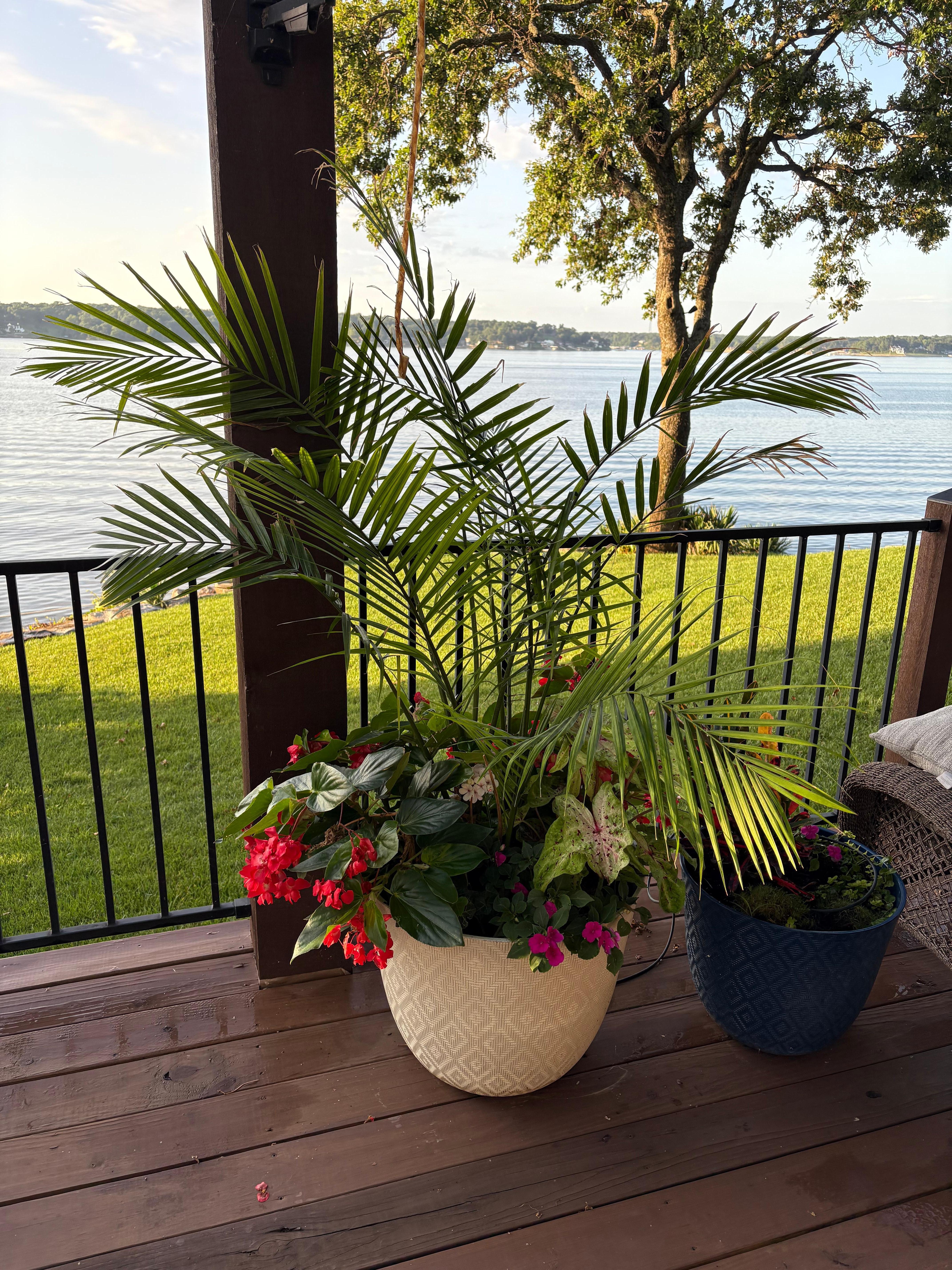 Beautiful flowers everywhere!