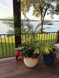 Beautiful flowers everywhere!