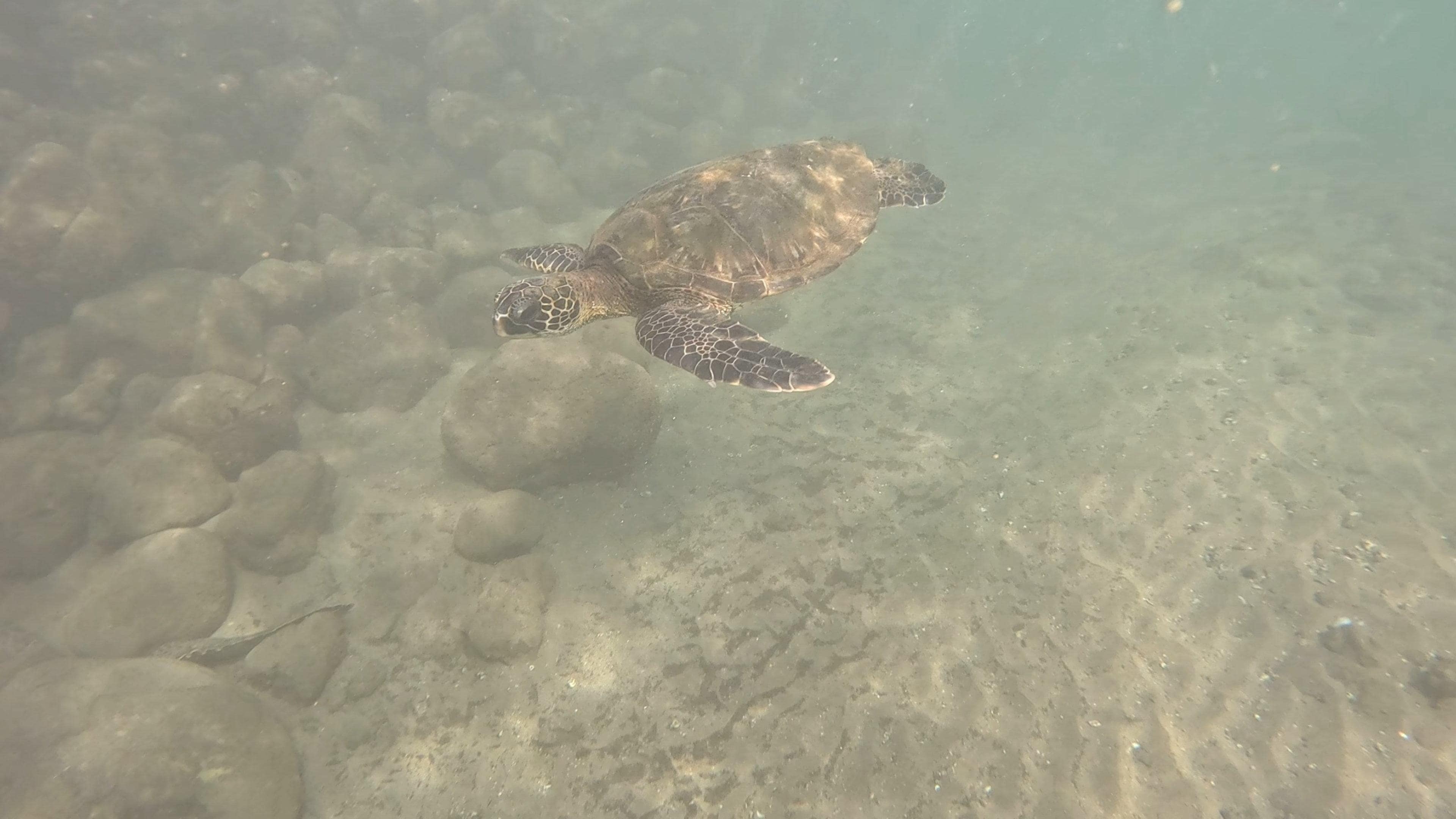 Pics from the beach across the street