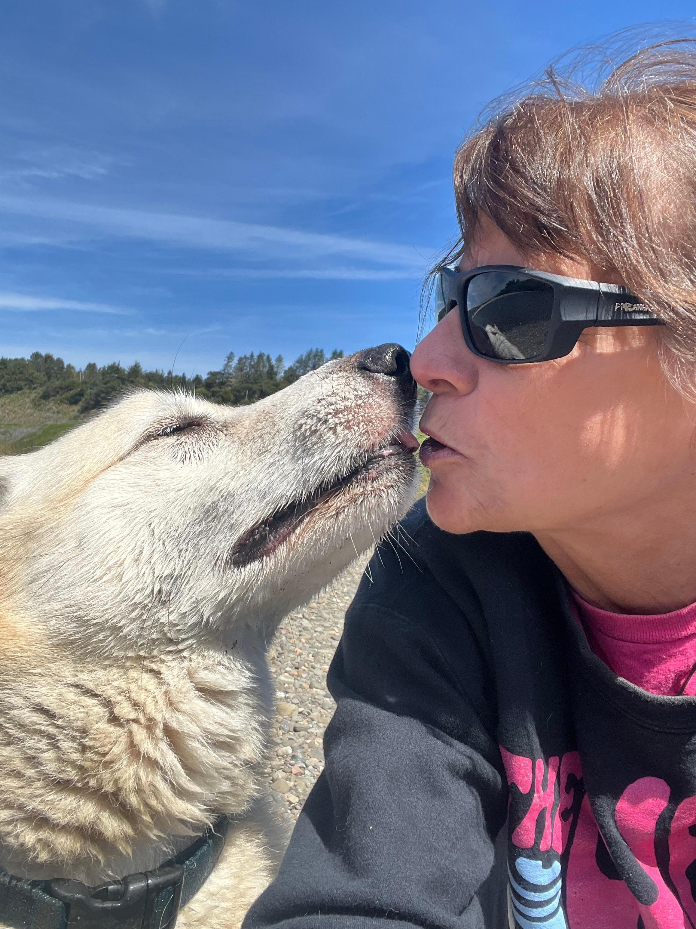 Wonderful beach day ❤️. Yellowbear loved it