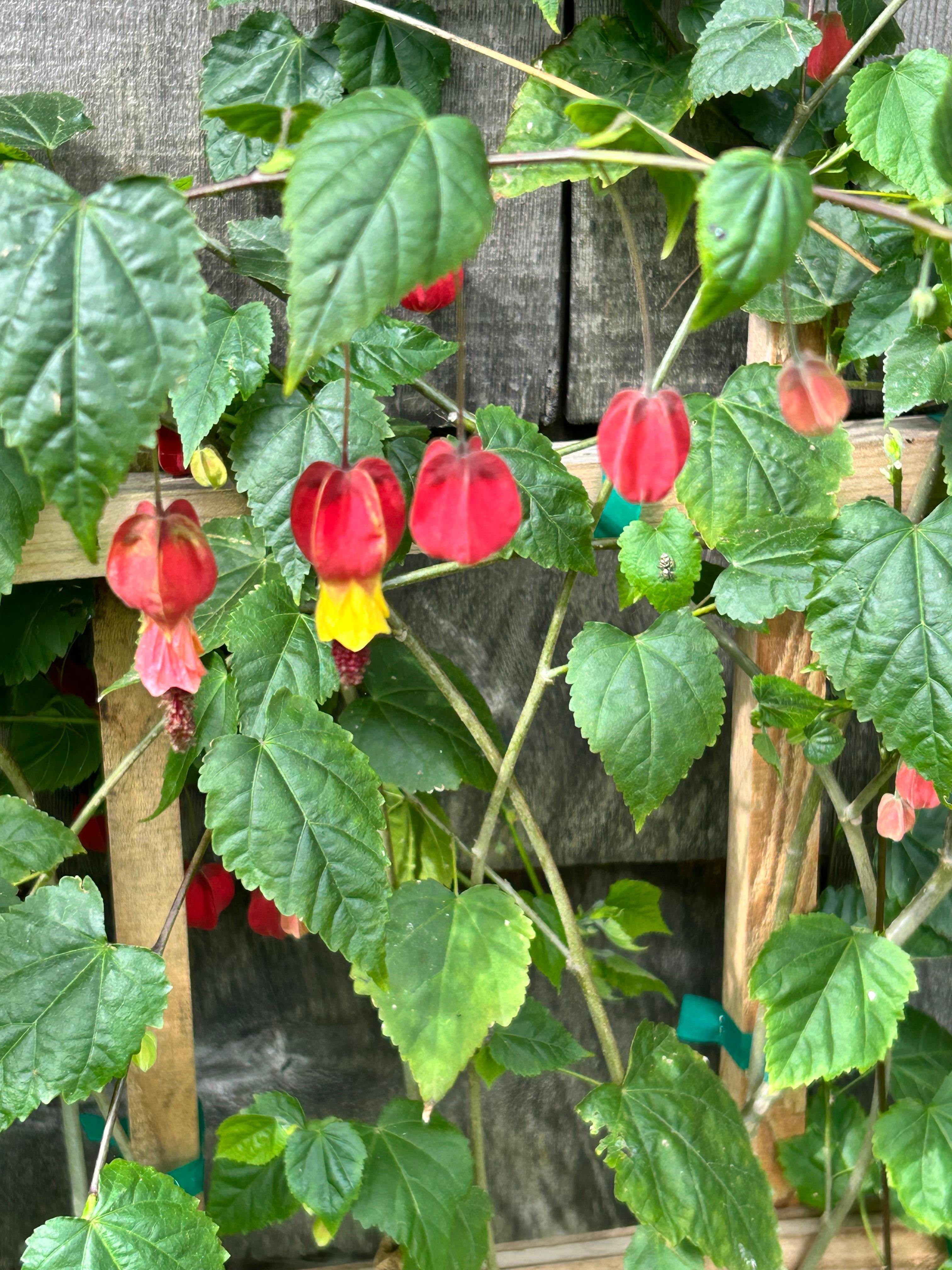 Lovely flowers welcomed us. 
