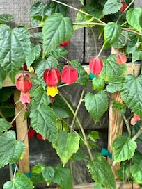 Lovely flowers welcomed us.