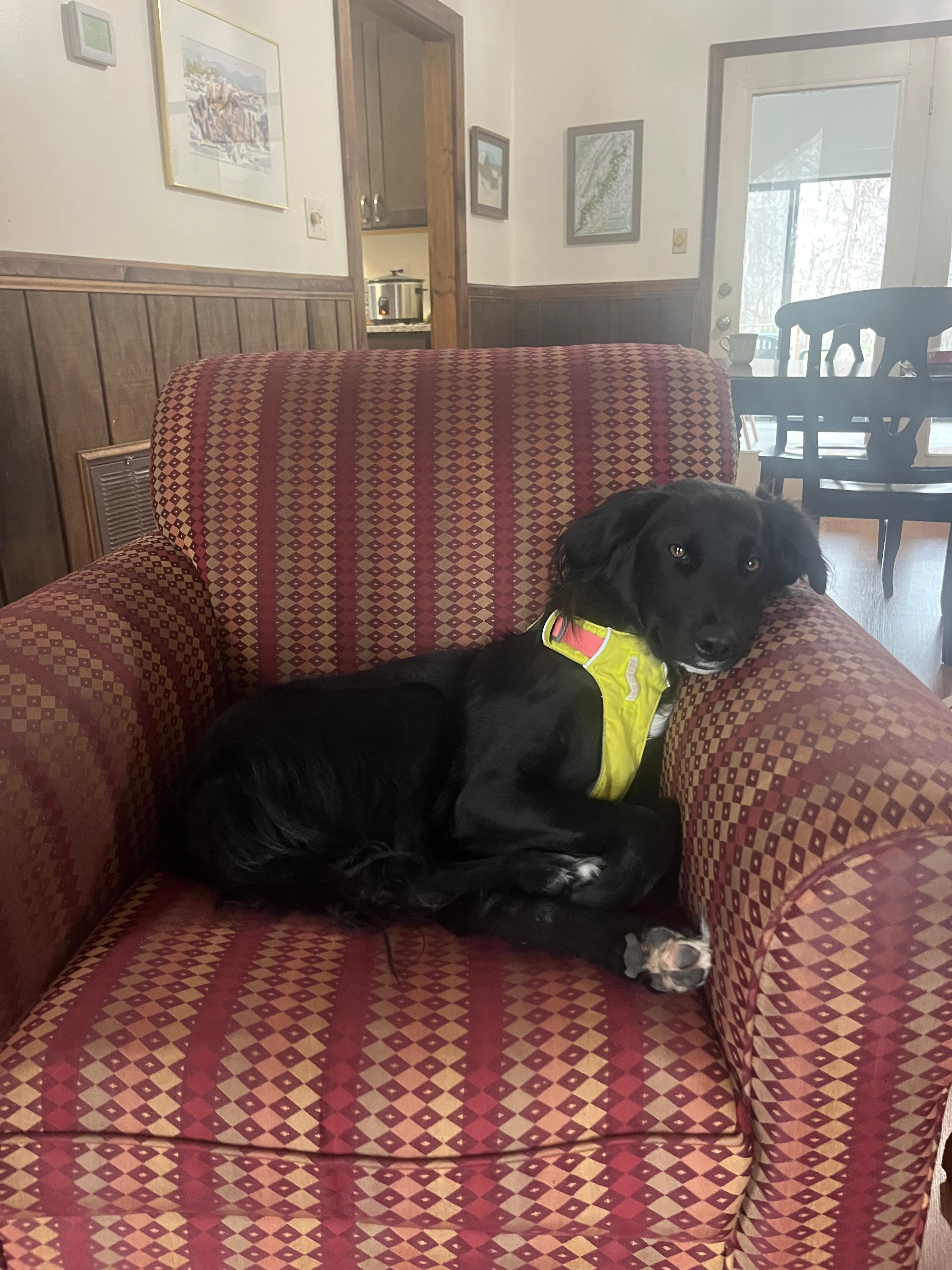 Junior was right at home!