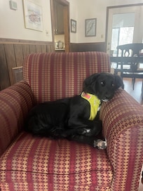 Junior was right at home!