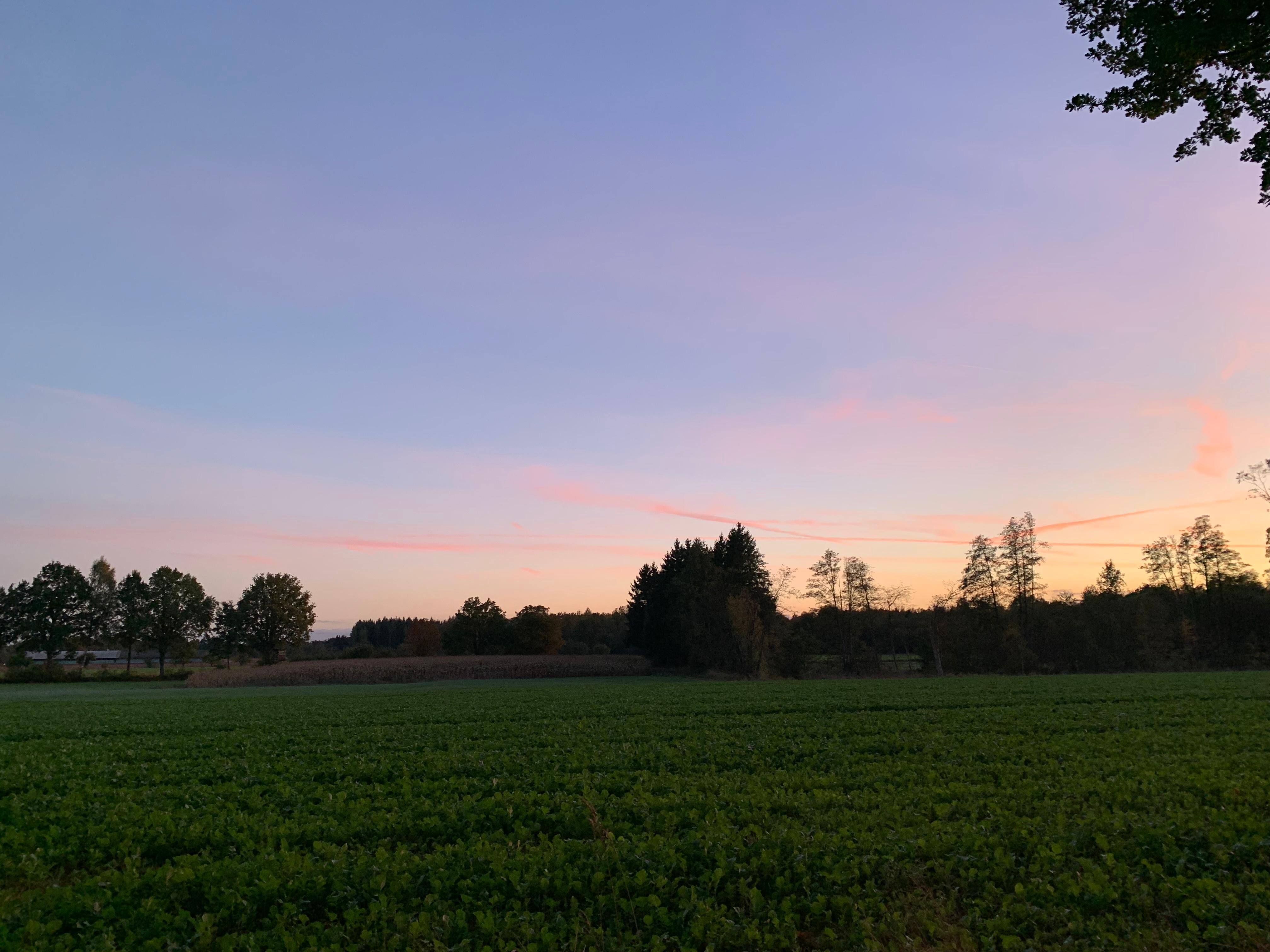 Spaziergang um den Hof bei der Ankunft