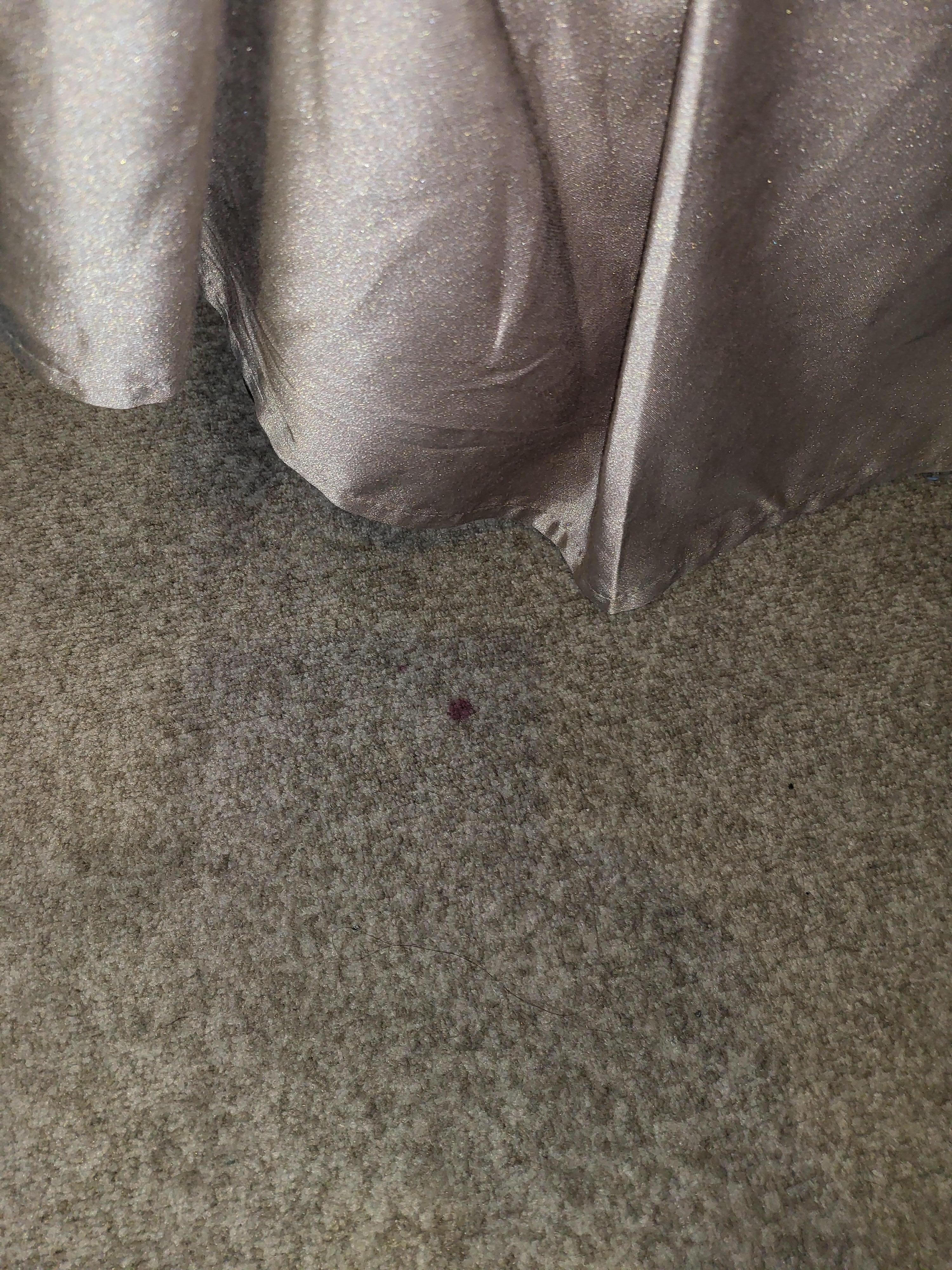 Blood stain on carpet 