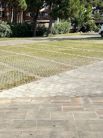 Mowing the parking lot