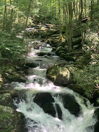 Smoky Mountain National Park