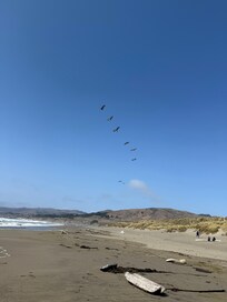 Beach that is walking distance