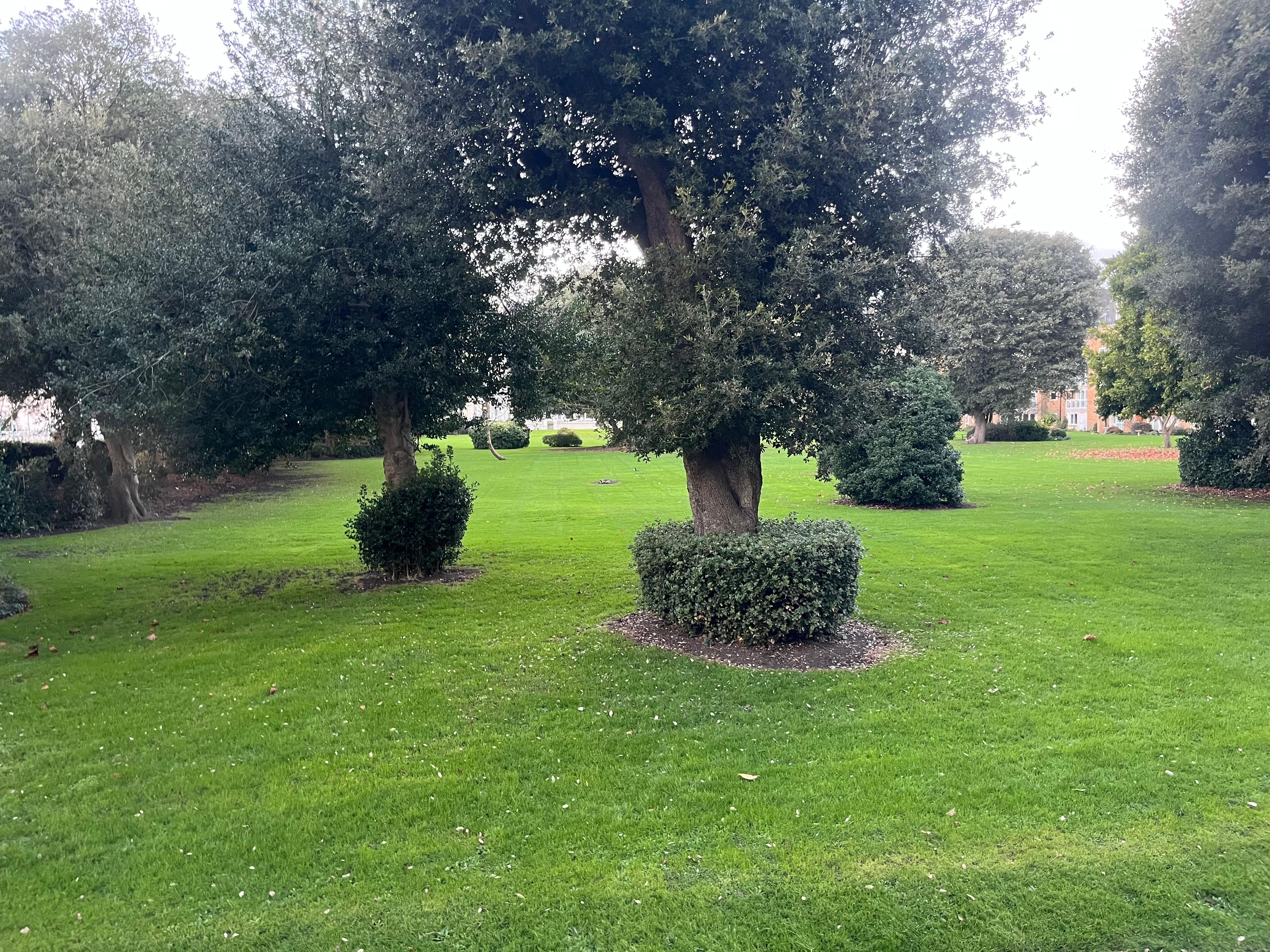 View of the grounds from the dining area.